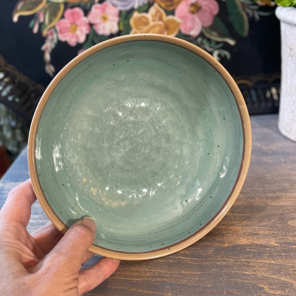 Food Network Robbins egg blue tan cereal bowls set of 5 - Picture 7 of 8